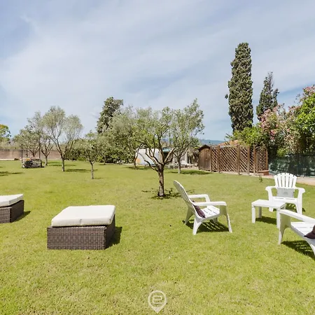 Girasole - Calice * Pula