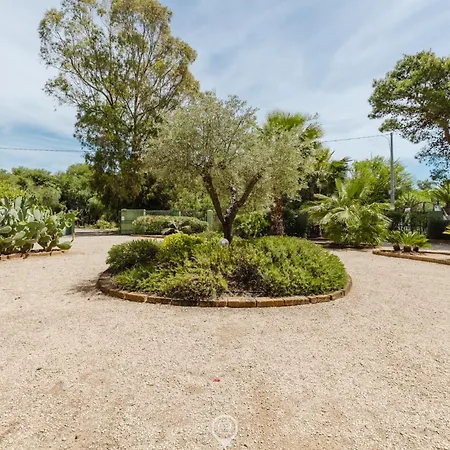 Girasole - Calice * Pula