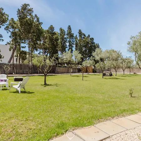 Girasole - Calice * Pula