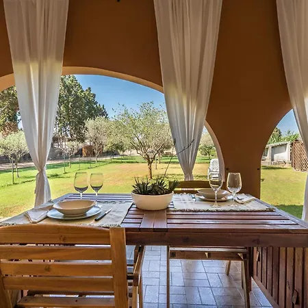 Girasole - Calice * Pula