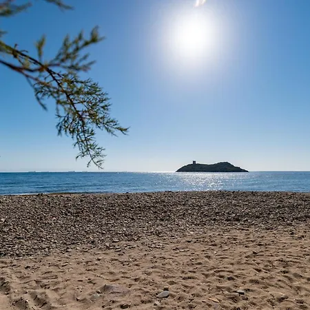 Girasole - Calice Pula