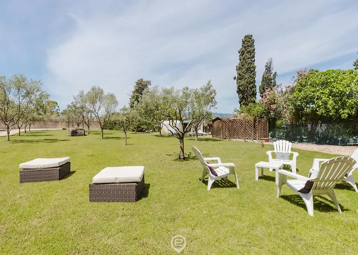 Girasole - Calice * Pula