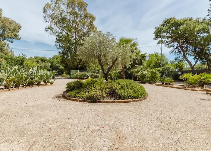 Girasole - Calice * Pula