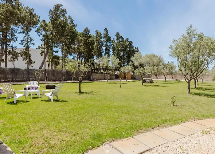 Girasole - Calice * Pula