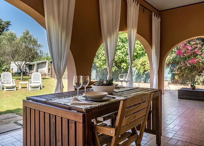 Girasole - Calice Pula