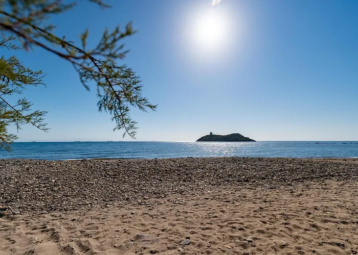 Girasole - Calice Pula