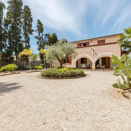 Girasole - Calice Pula