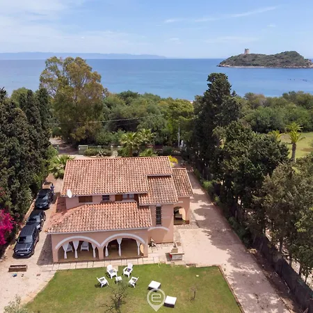 Estay - Girasole - Calice Pula