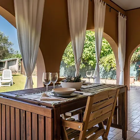 Girasole - Calice Pula