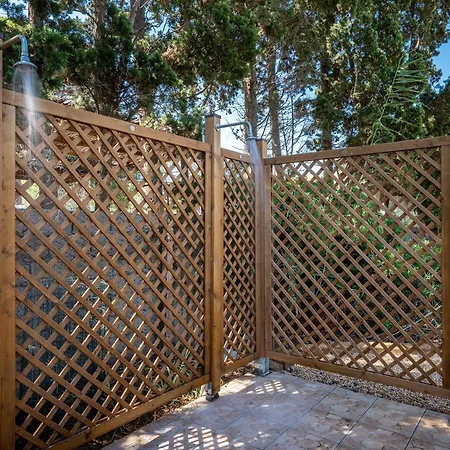 Girasole - Calice Pula